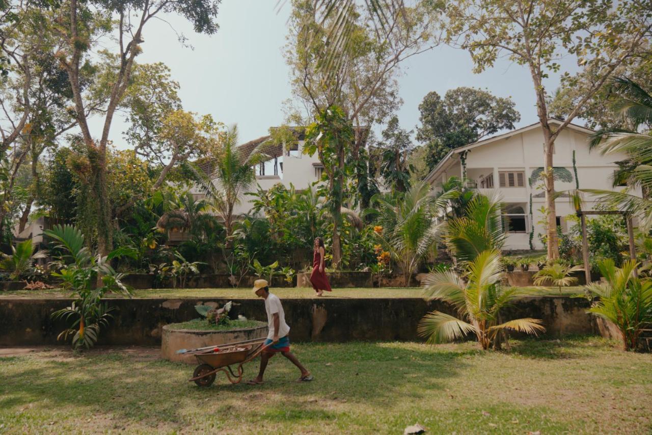 Kirinuga Boutique Retreat Hotel Tangalle Luaran gambar